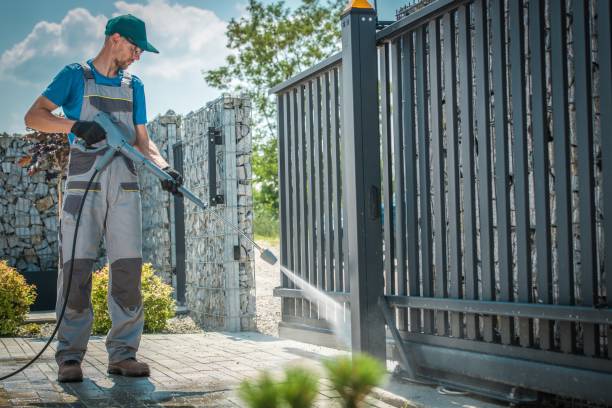 Best Roof Washing  in Pittsville, MD