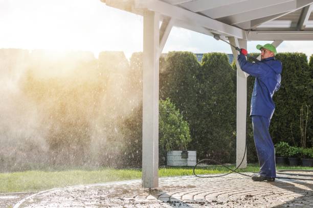 Best Soft Washing  in Pittsville, MD
