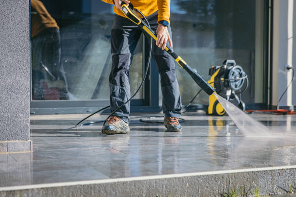 Best Patio and Deck Pressure Washing  in Pittsville, MD